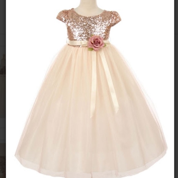 Rose Gold Sequins bodice & Tulle Dress - Picture 1 of 8